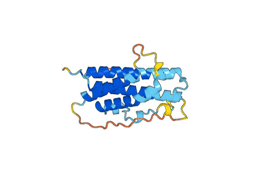 GH1, N-His, recombinant protein