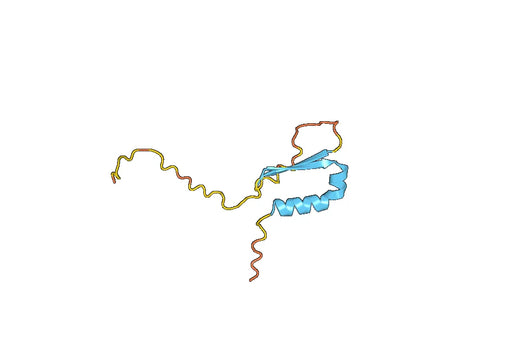 GHRL, N-His, recombinant protein
