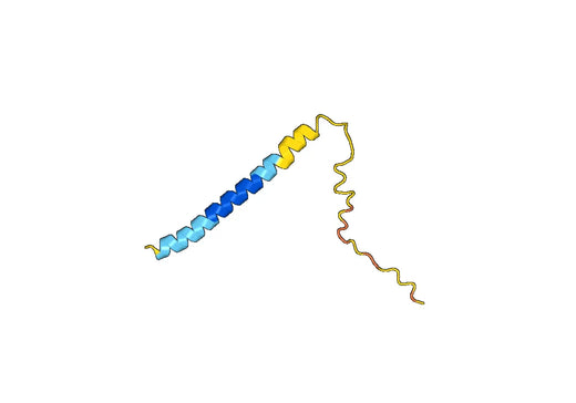 GHSR, N-GST, recombinant protein
