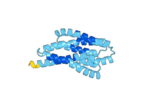 Glucose-6-phosphate exchanger SLC37A4 (in Insect)