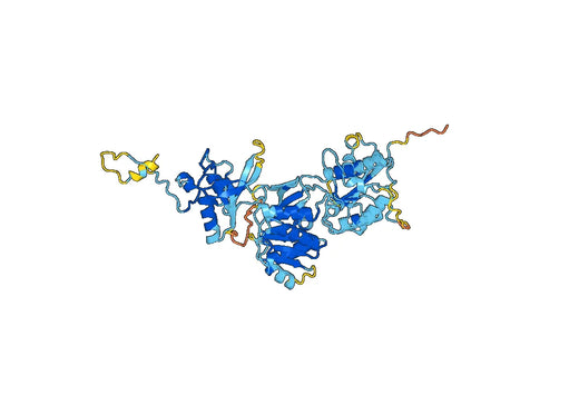 Glutamate receptor ionotropic, NMDA 2A(GRIN2A)
