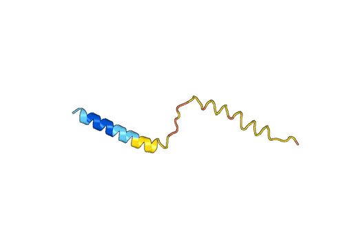 Glycophorin-B（GYPB）