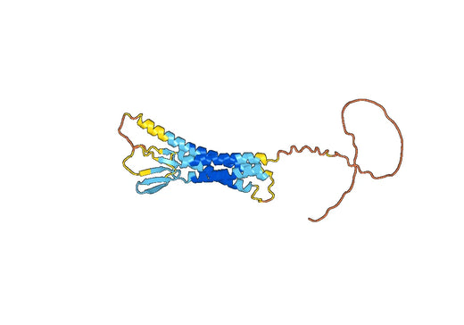 Gresonitamab Biosimilar - Anti-CLDN18 & CD3e mAb - Research Grade