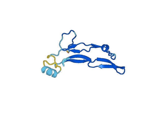Growth/differentiation factor 11(GDF11)