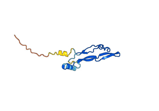 Growth/differentiation factor 9(GDF9)