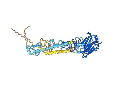 Hemagglutinin(HA) Maryland