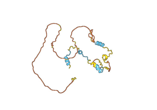 HIF1A, N-His, recombinant protein
