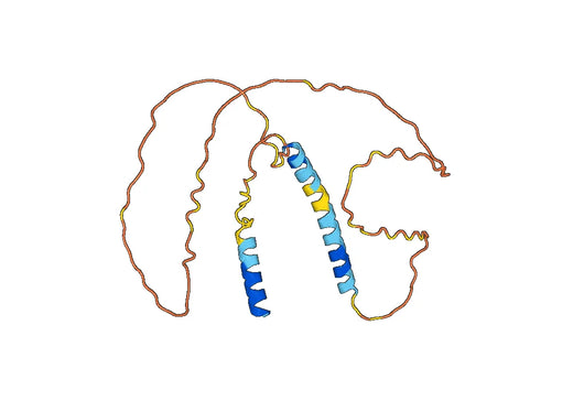 Histamine H1 receptor(HRH1)
