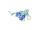 HIV1 gp120 / SU recombinant protein