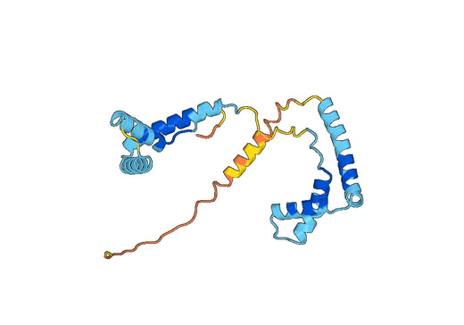 HMGB1 (in E.coli), N-His, recombinant protein