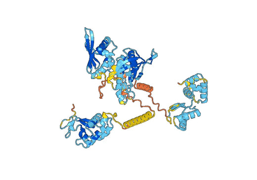 HTH_55 domain-containing protein(VC0395_0128)