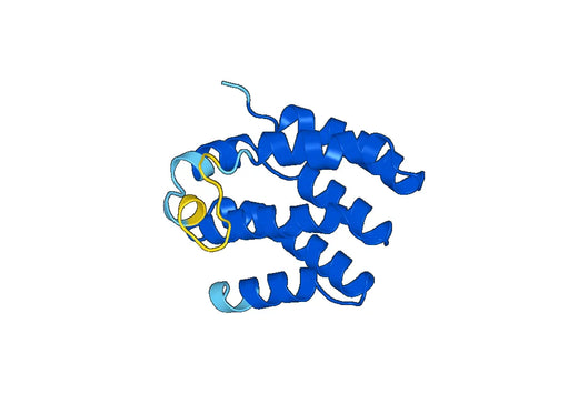 HTT, N-His, recombinant protein