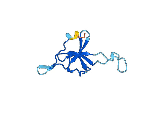 Human 10 kDa heat shock protein, mitochondrial(HSPE1) Recombinant Protein