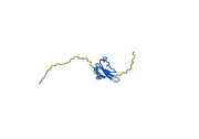 Human ACVR1B recombinant protein
