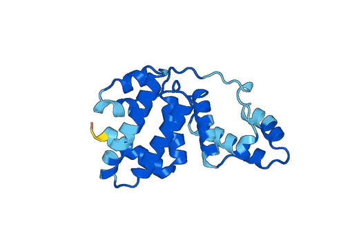 Human ALB recombinant protein