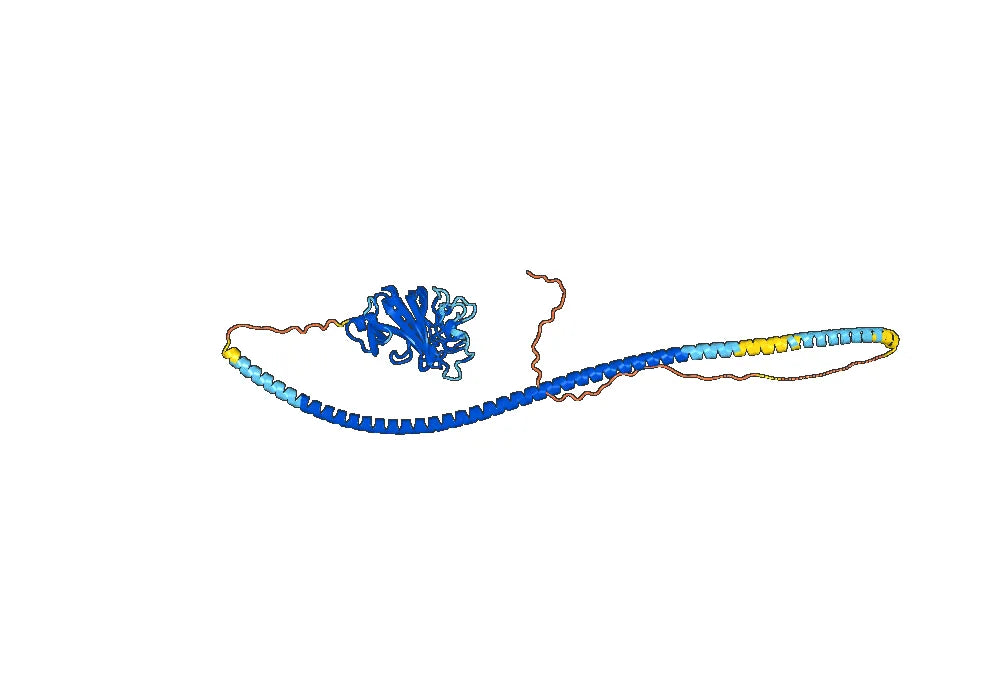 Human ANGPT2-Ang2 recombinant protein