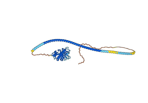Human ANGPT2 recombinant protein
