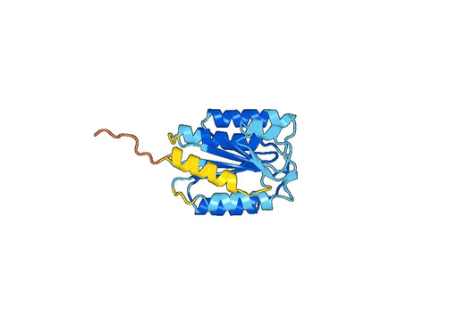 Human ANTXR1 recombinant protein