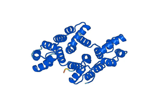 Human ANXA5 Recombinant Protein