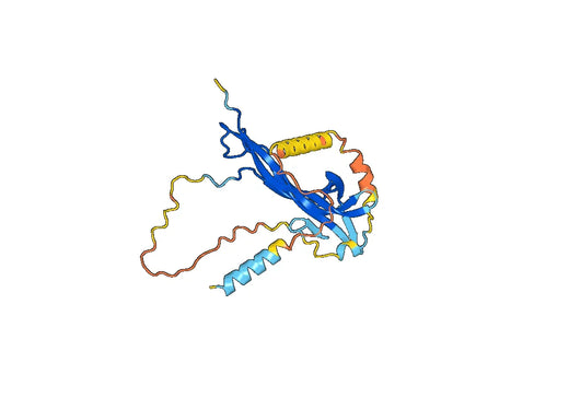 Human Beta-nerve growth factor recombinant protein