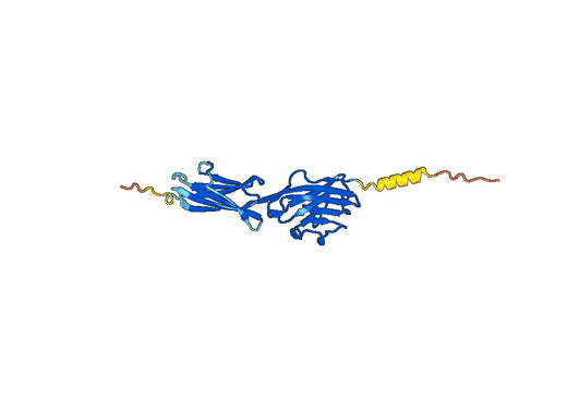 Human BTN2A1 recombinant protein