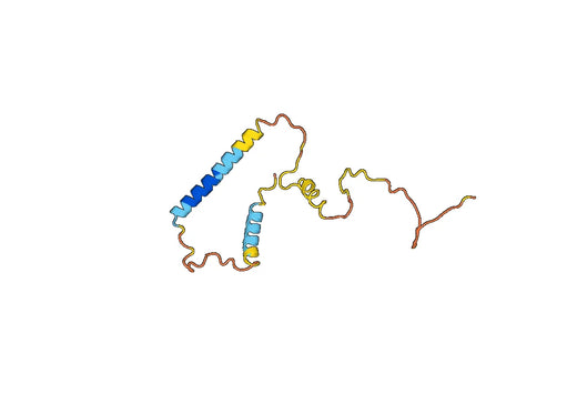 Human CALCA-Calcitonin recombinant protein
