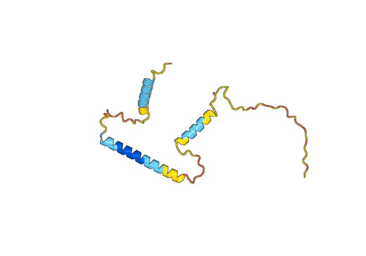 Human Calcitonin-Procalcitonin (PCT) recombinant protein