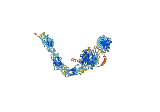 Human CD103 recombinant protein