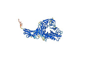 Human CD108-SEMA7A recombinant protein