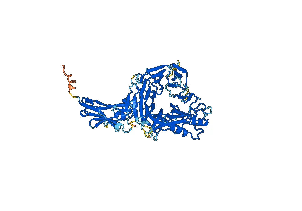 Human CD108-SEMA7A recombinant protein