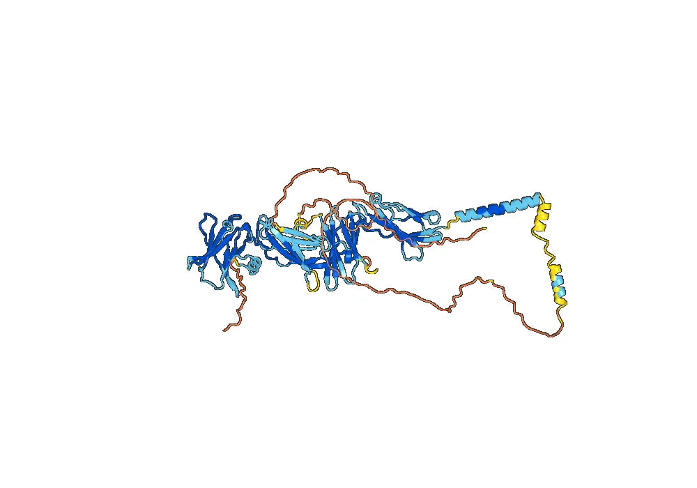Human CD110/MPL Monoclonal Antibody