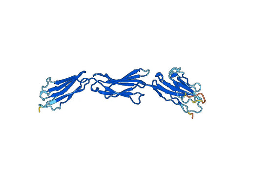 Human CD112 recombinant protein