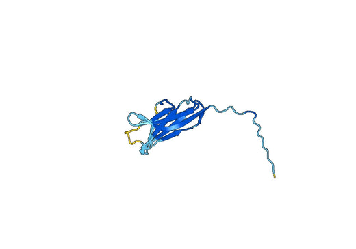 Human CD114 / CSF3R recombinant protein