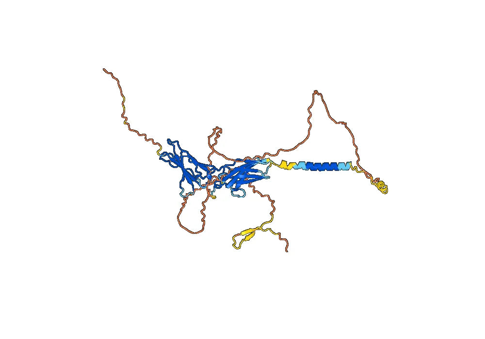 Human CD119/IFNGR1 Monoclonal Antibody