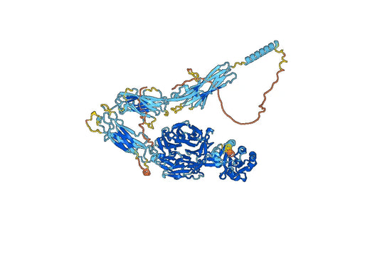 Human CD11a/ITGAL Monoclonal Antibody