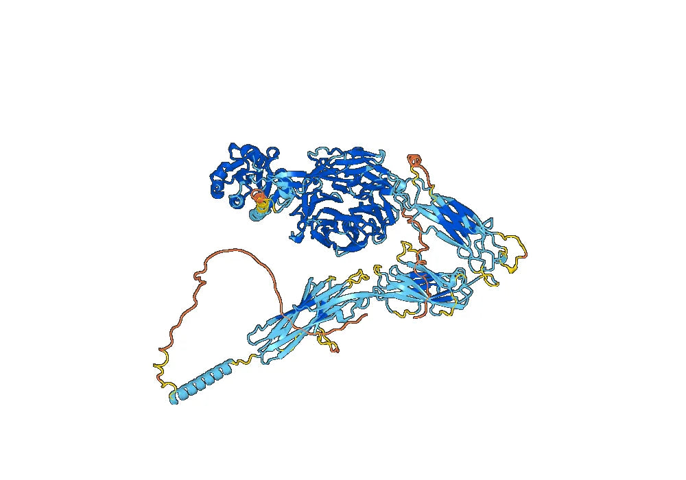 Human CD11a/ITGAL (S6F1) Monoclonal Antibody