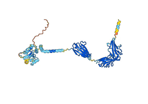 Human CD121a/IL1R1 Monoclonal Antibody