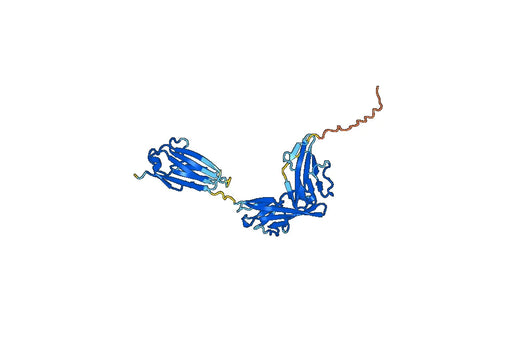 Human CD121a recombinant protein