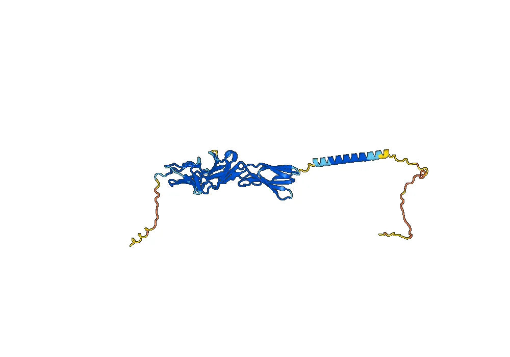 Human CD123/IL3RA Monoclonal Antibody