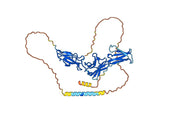 Human CD126/IL6R/IL-6RA Monoclonal Antibody