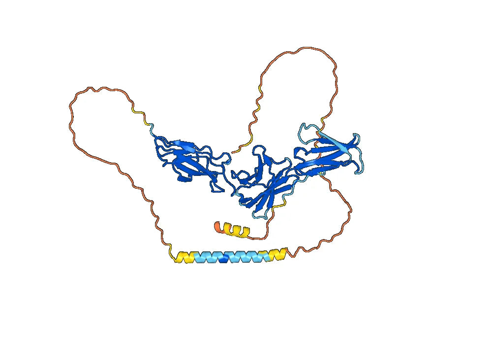 Human CD126/IL6R/IL-6RA Monoclonal Antibody