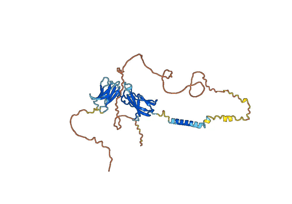 Human CD127/IL7R (MD-707) Monoclonal Antibody