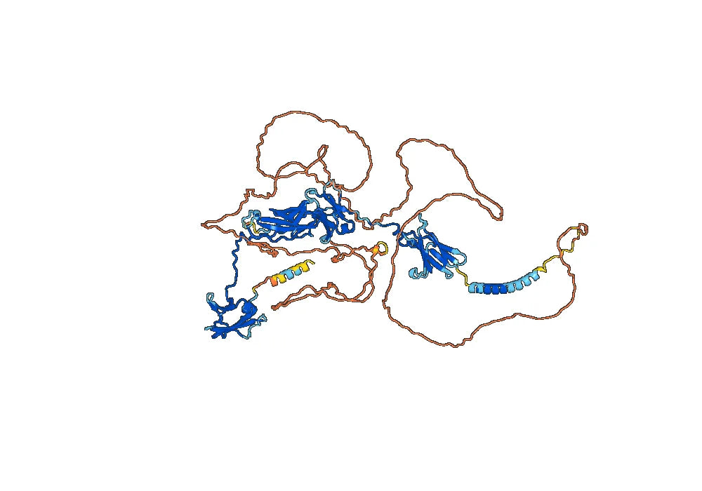 Human CD131/CSF2RB Monoclonal Antibody