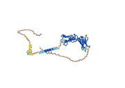 Human CD132/IL2RG Monoclonal Antibody