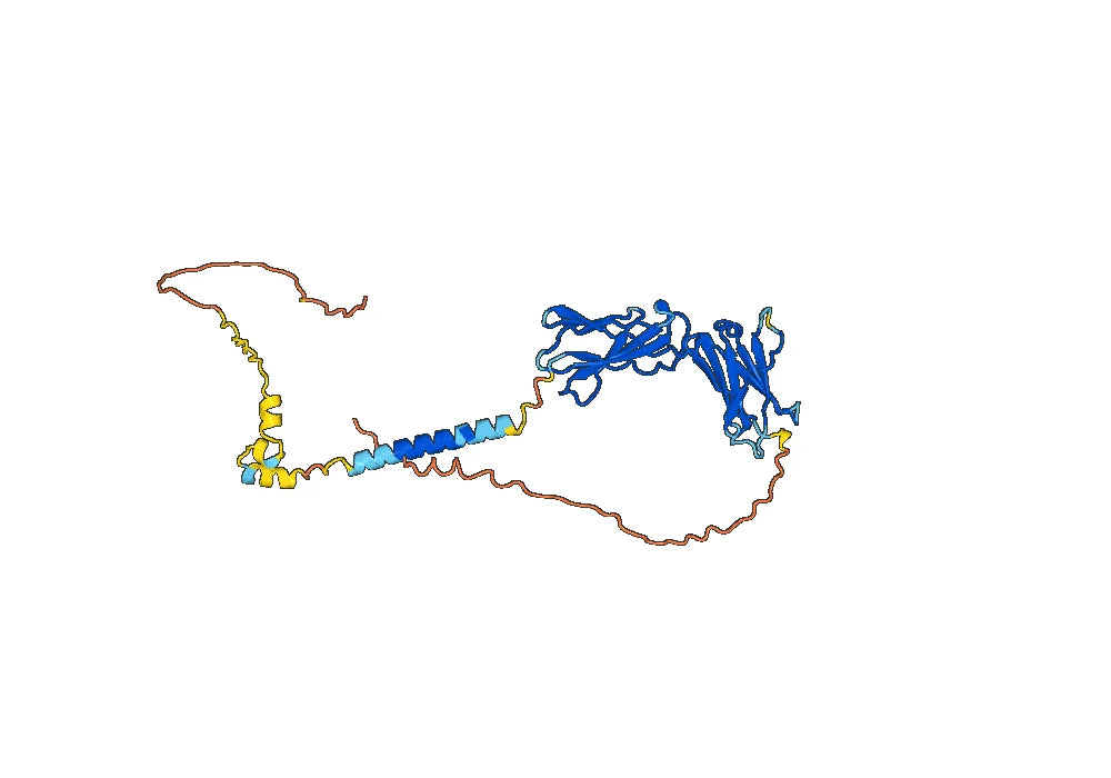 Human CD132/IL2RG Monoclonal Antibody