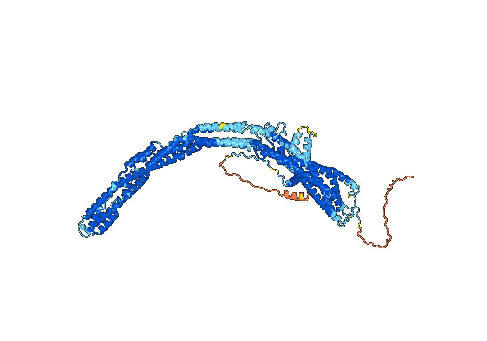 Human CD133/PROM1 Monoclonal Antibody