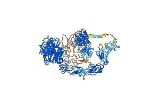 Human CD136/MST1R Monoclonal Antibody