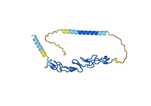 Human CD137/TNFRSF9 Monoclonal Antibody