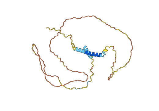 Human CD138/SDC1 Monoclonal Antibody