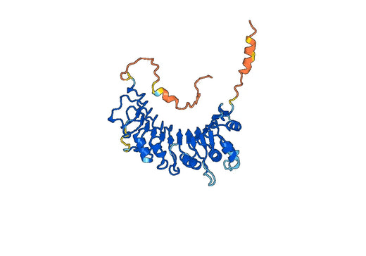 Human CD14 (18D11) Monoclonal Antibody